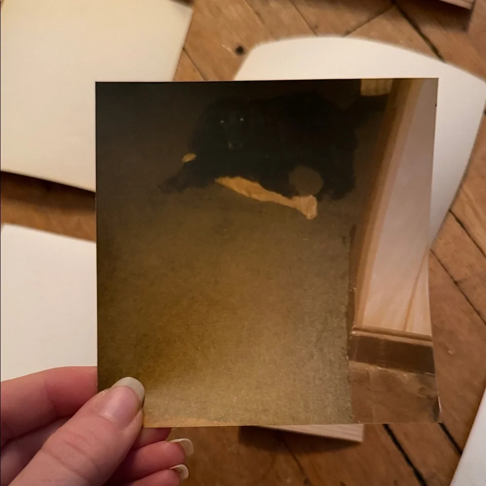 Vintage Photo Collection